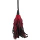 Feathers & Ticklers
